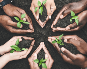 A circle of hands holding seedlings.